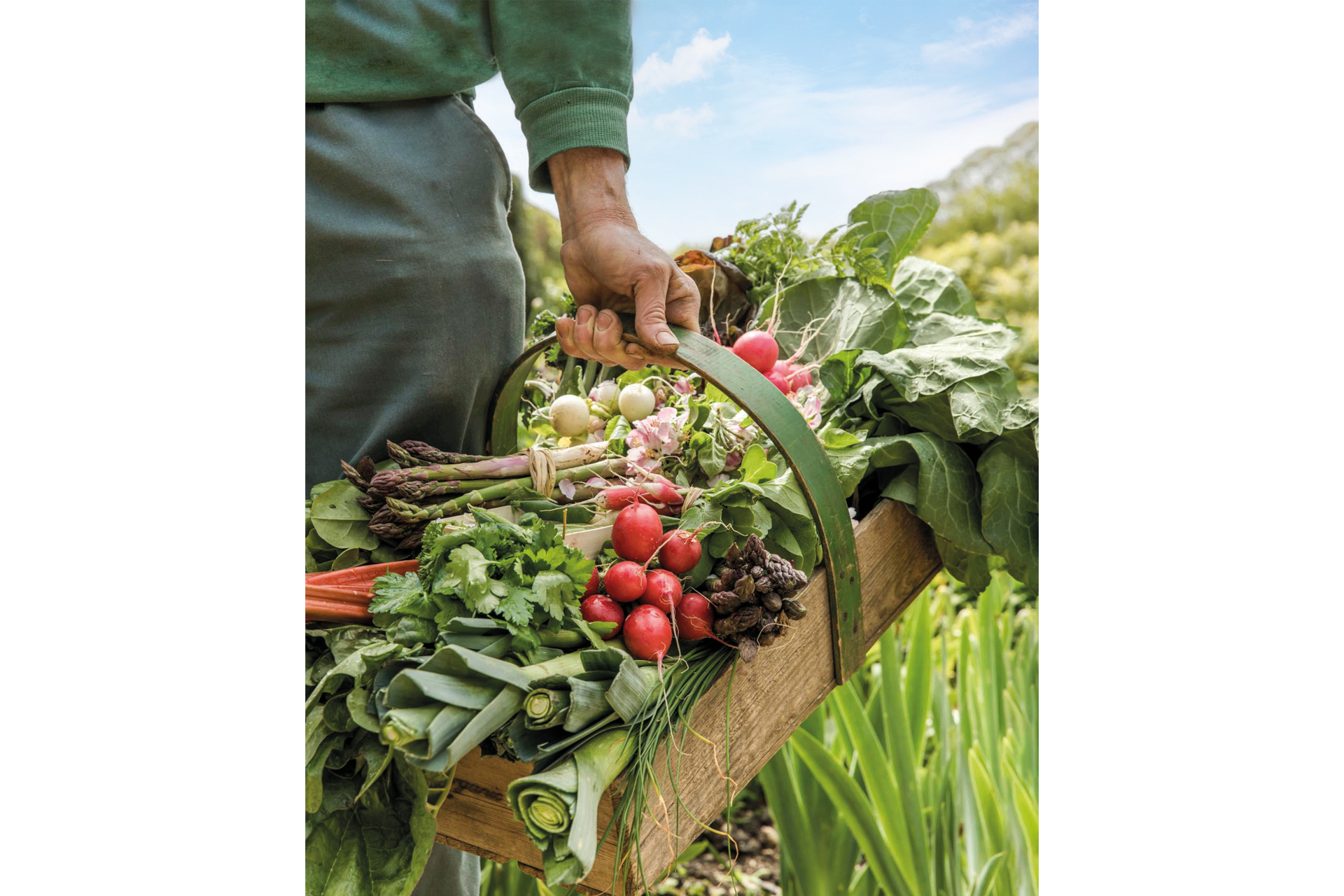 Man carrying basket of vegetables from Daylesford Organic