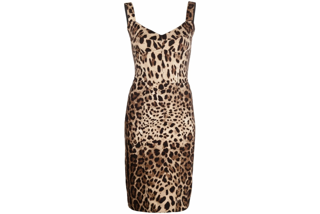 Leopard print dress