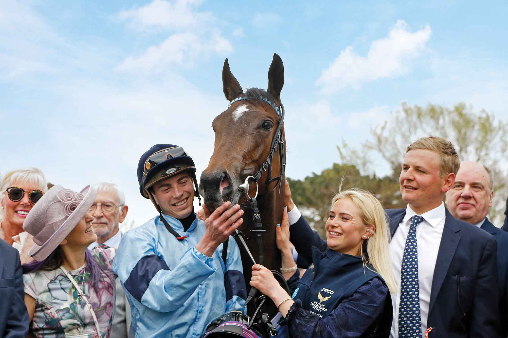 Bay thoroughbred with jockey and crowd
