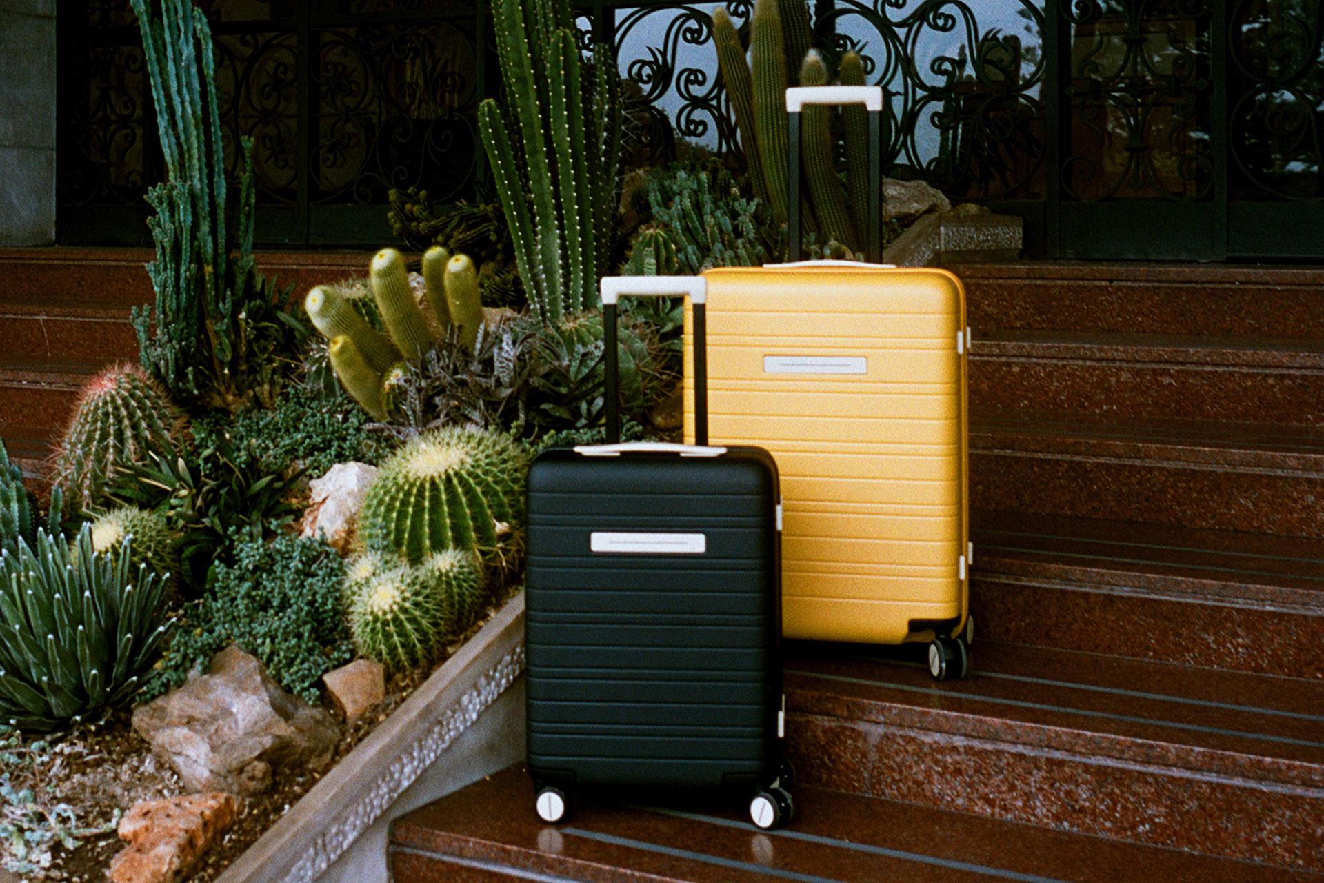Black and yellow hard-shell suitcases on staircase with bed of cacti beside them.