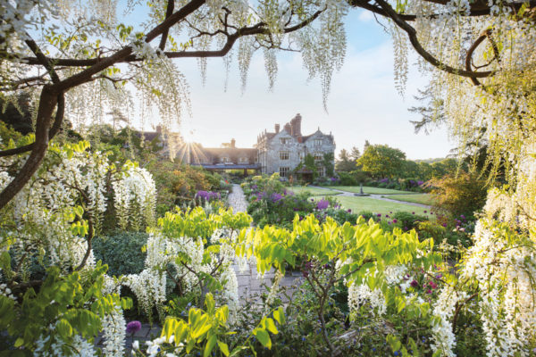 Country hotel surrounded by Wisteria trees