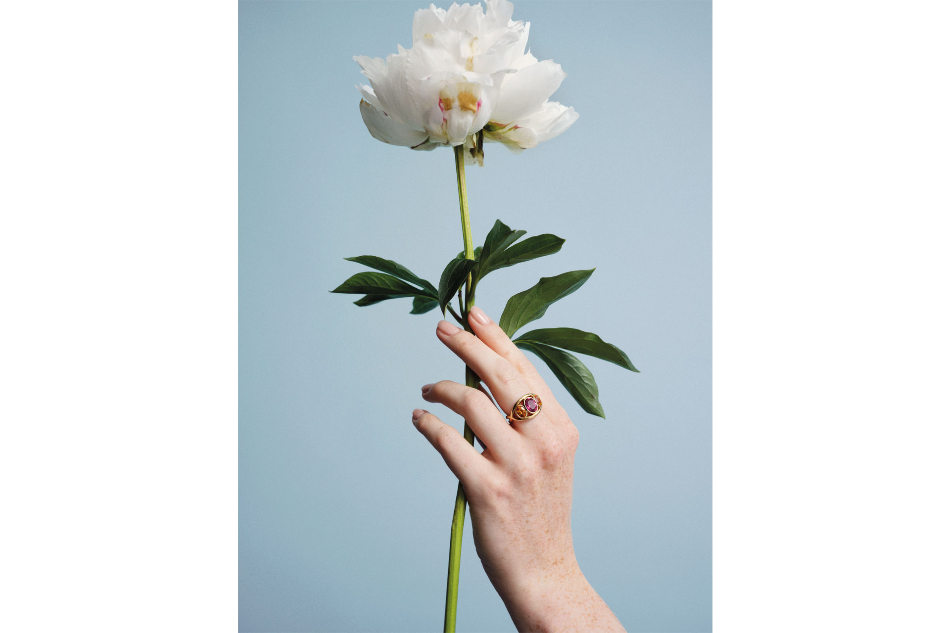 Hand wearing ring and holding rose