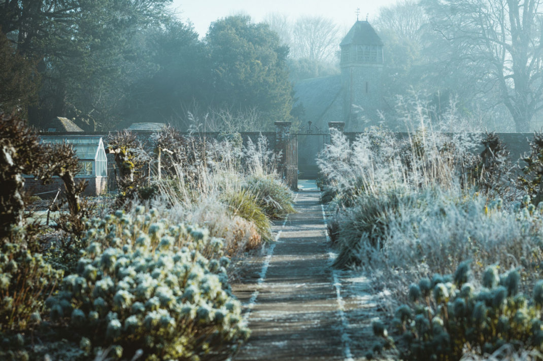 A wintery garden