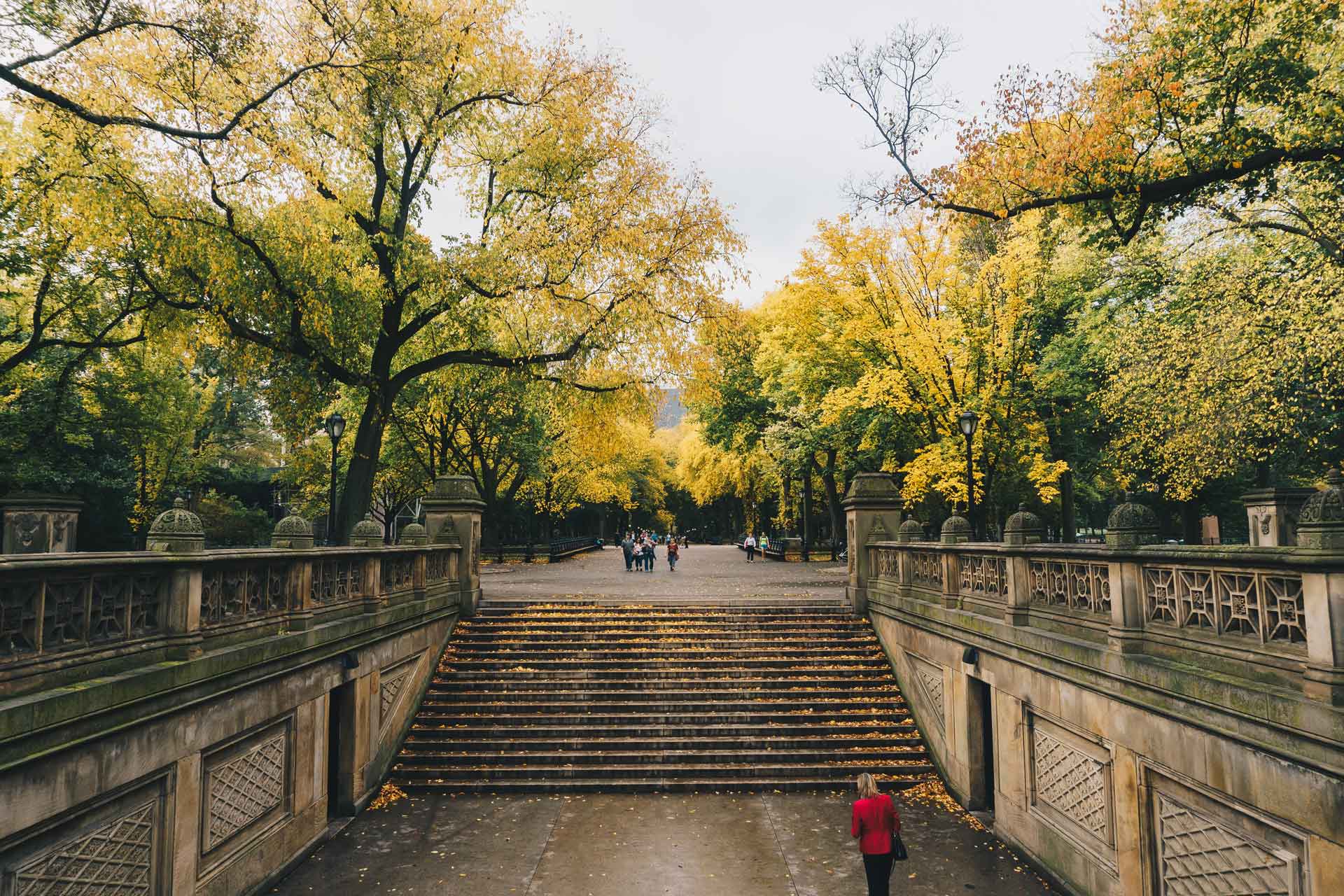 The Mall steps, Central Park