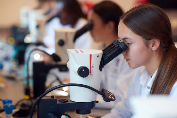 Haileybury students in a Science lesson