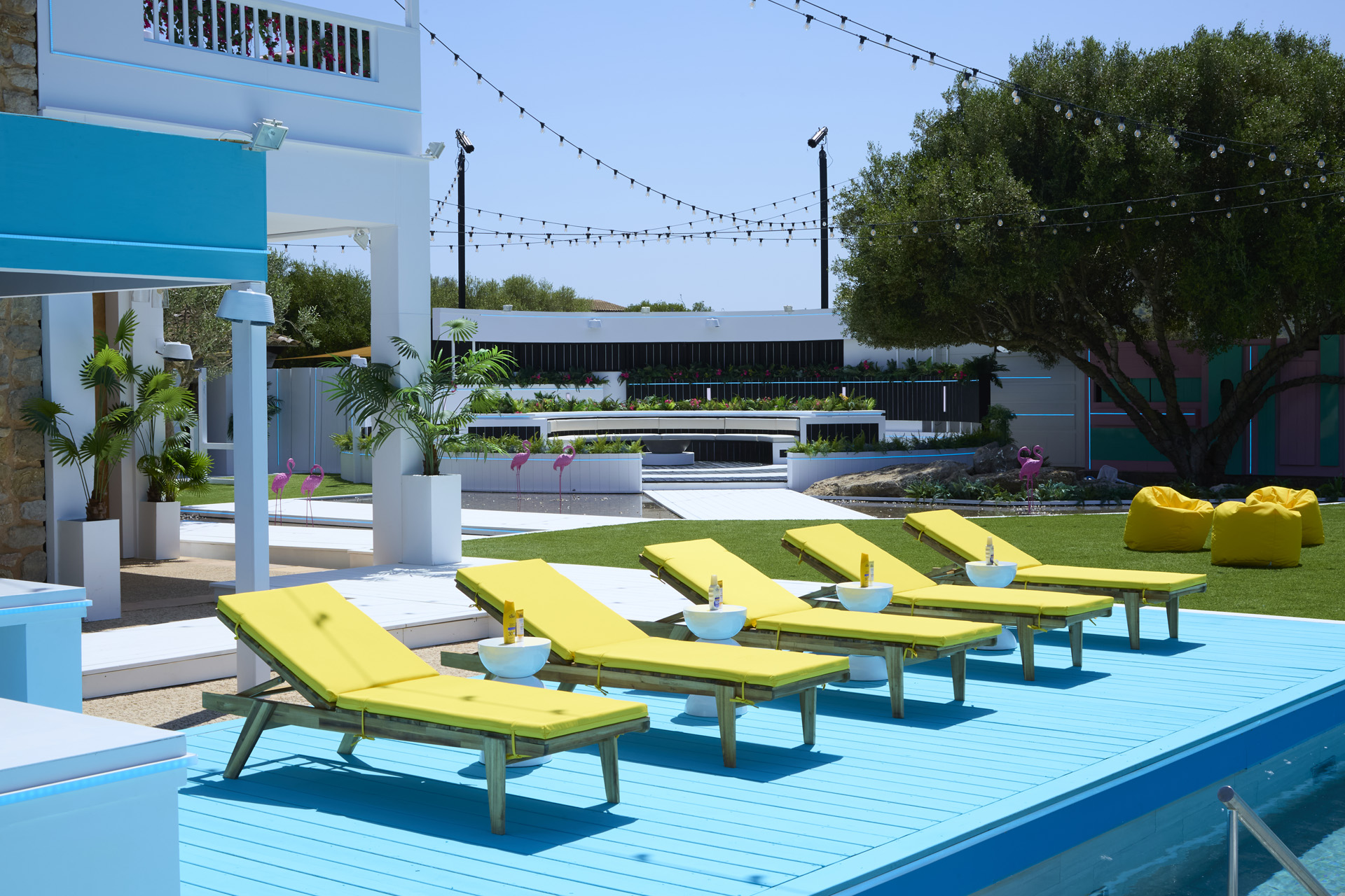 A line of yellow sun loungers