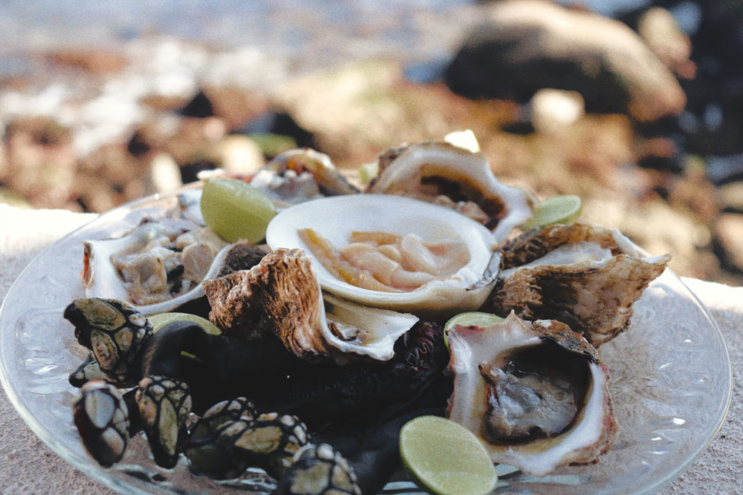 A plate of percebes, a type of seafood, on the beach