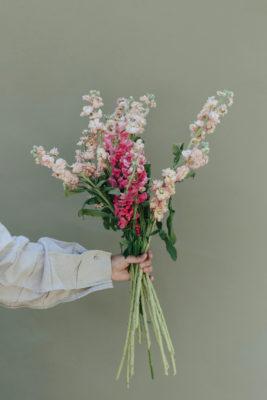 A hand holding a bouquet of flowers