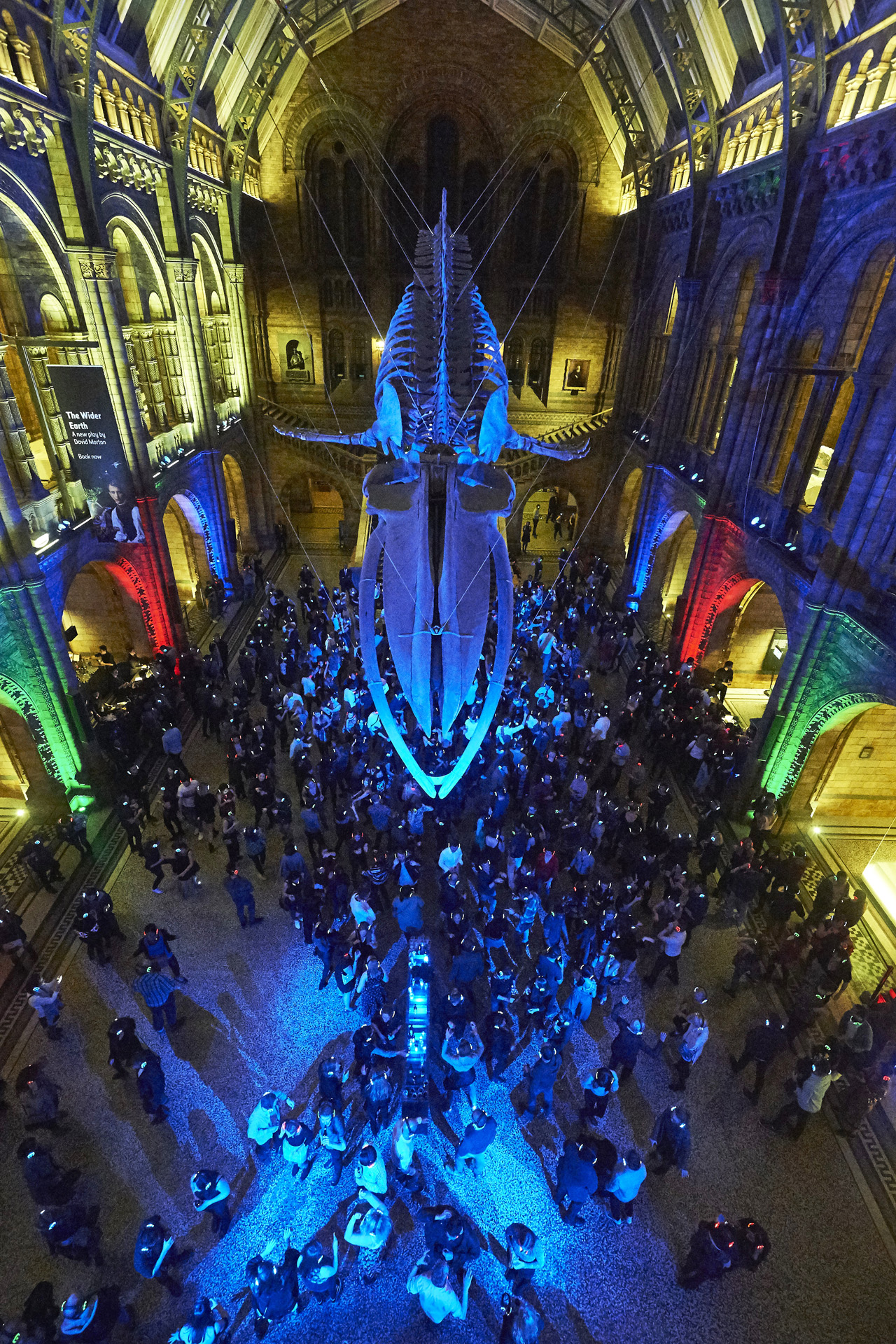 People partying beneath the whale skeleton with colourful lighting