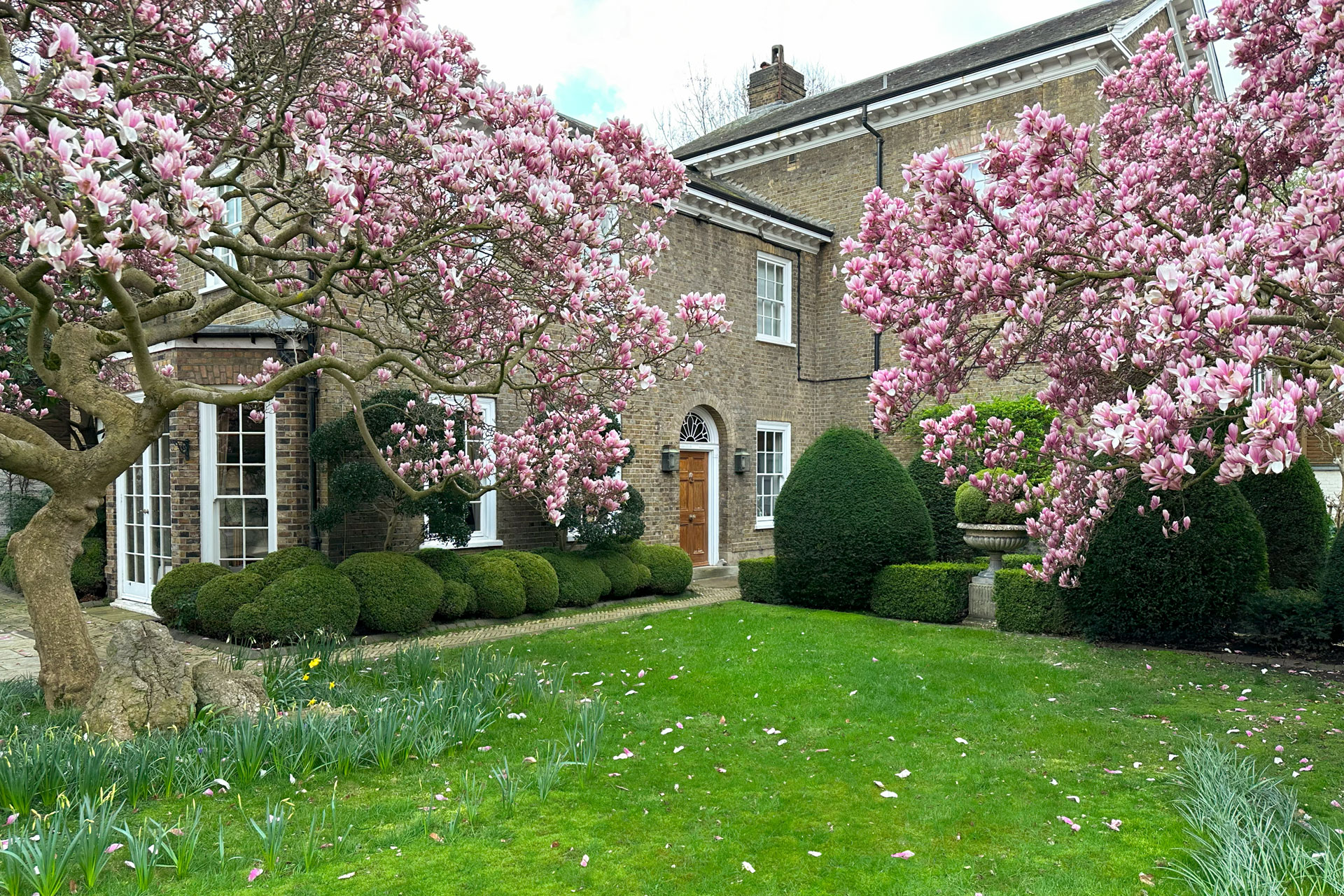 Neo-Georgian mansion in Kensington, surrounded by magnolia trees.