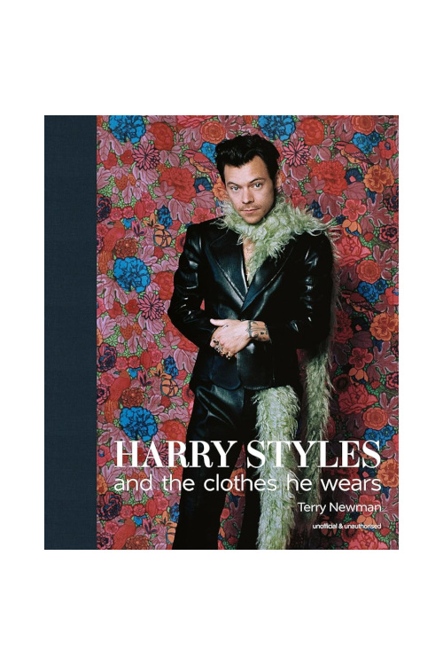 Harry Style biography