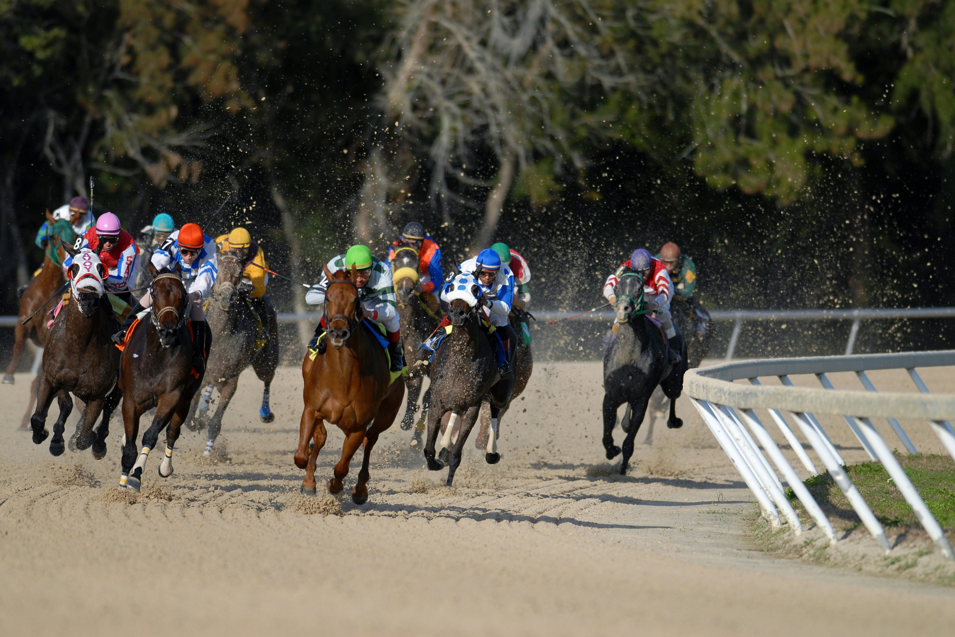 People racing horses