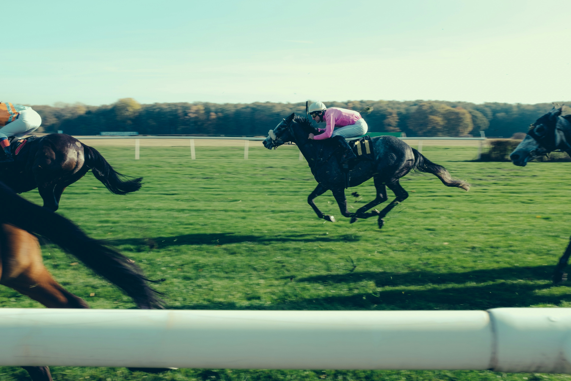 People racing horses