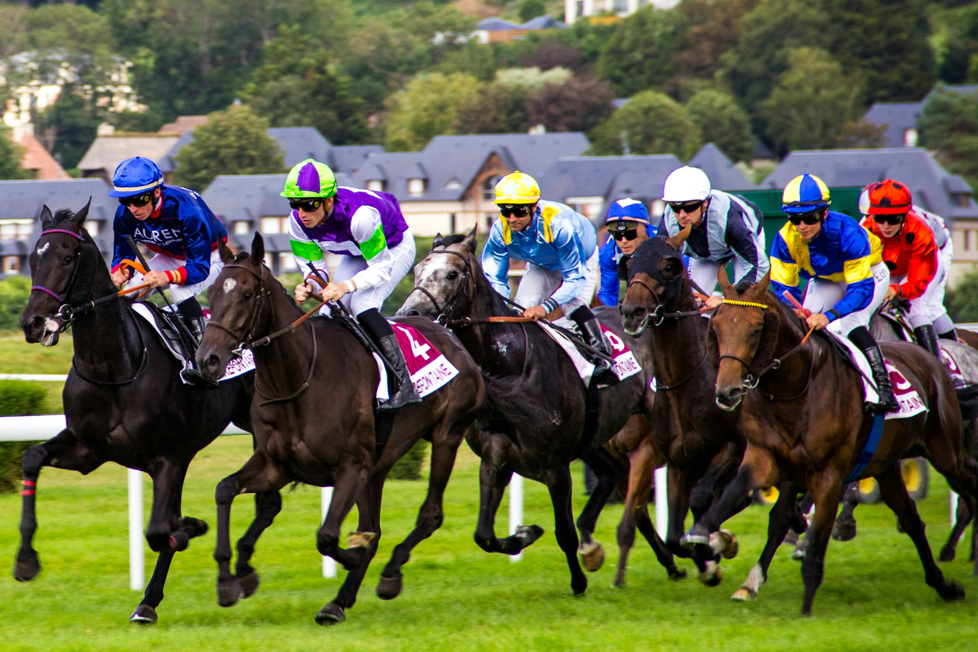 People racing horses