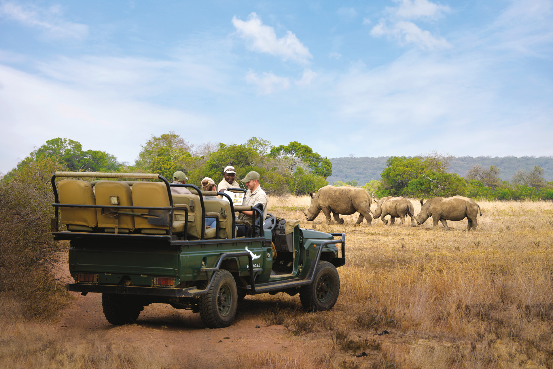 Rhinos on an African plain