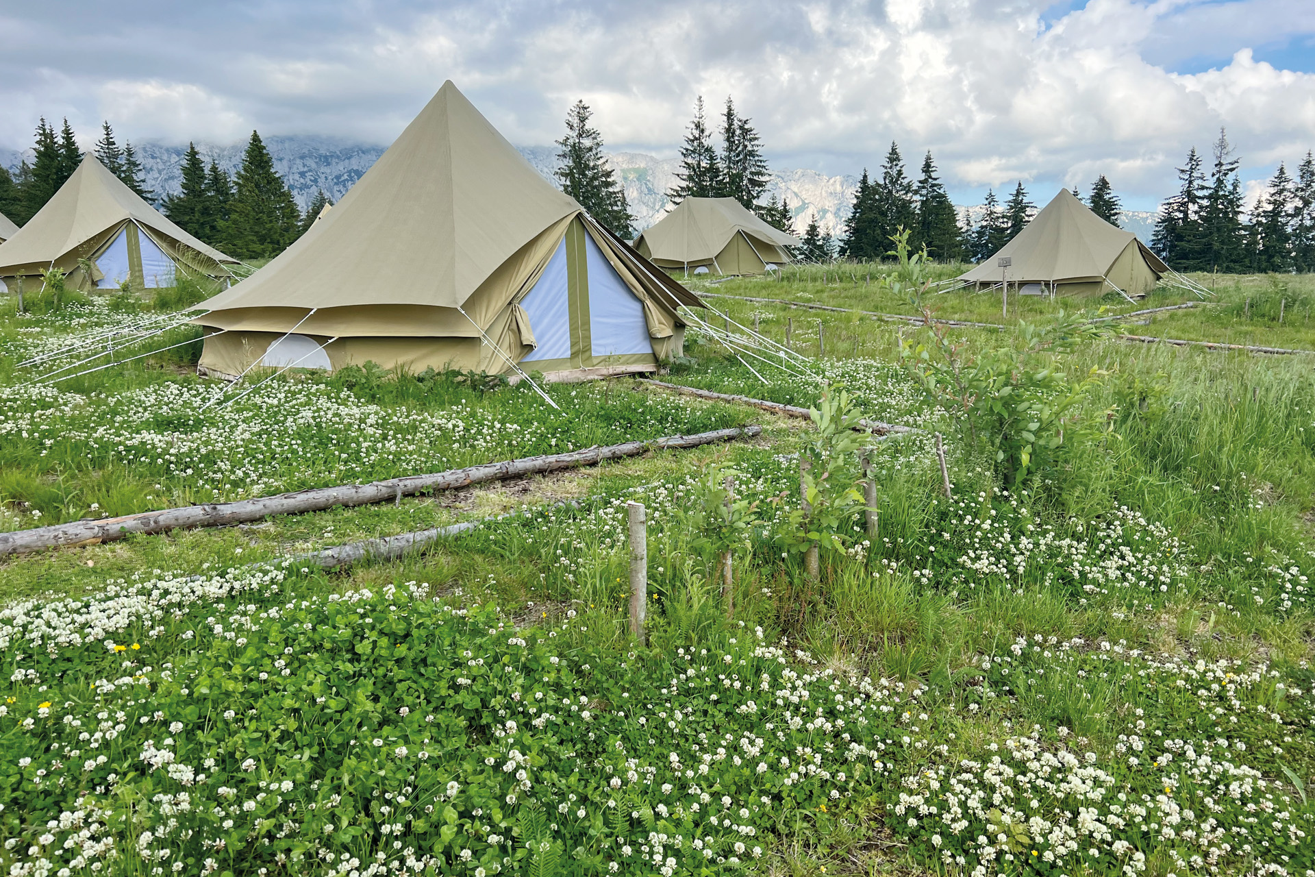 Tents for glamping set against the limestone escarpment
