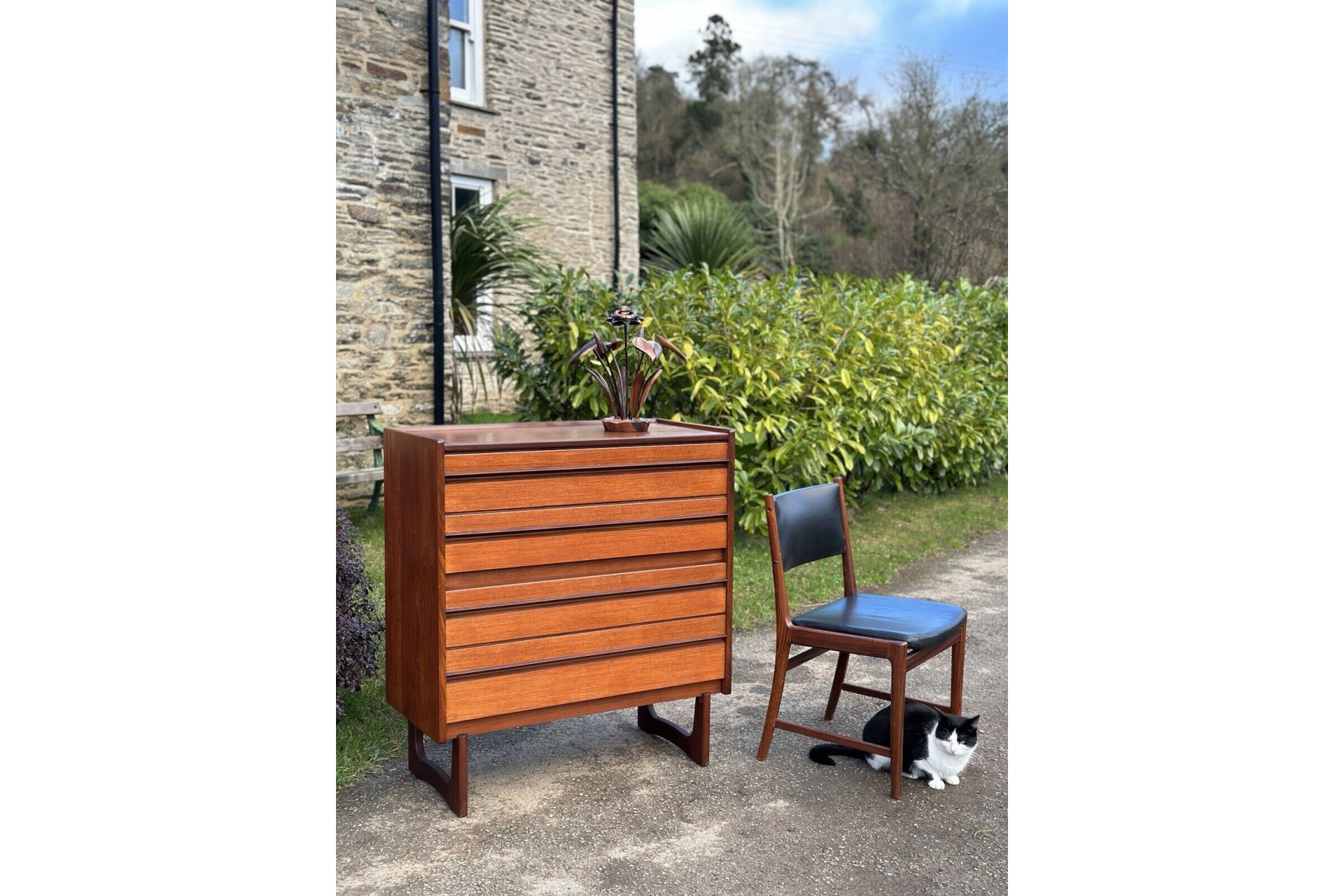 Chest of drawers with chair and cat