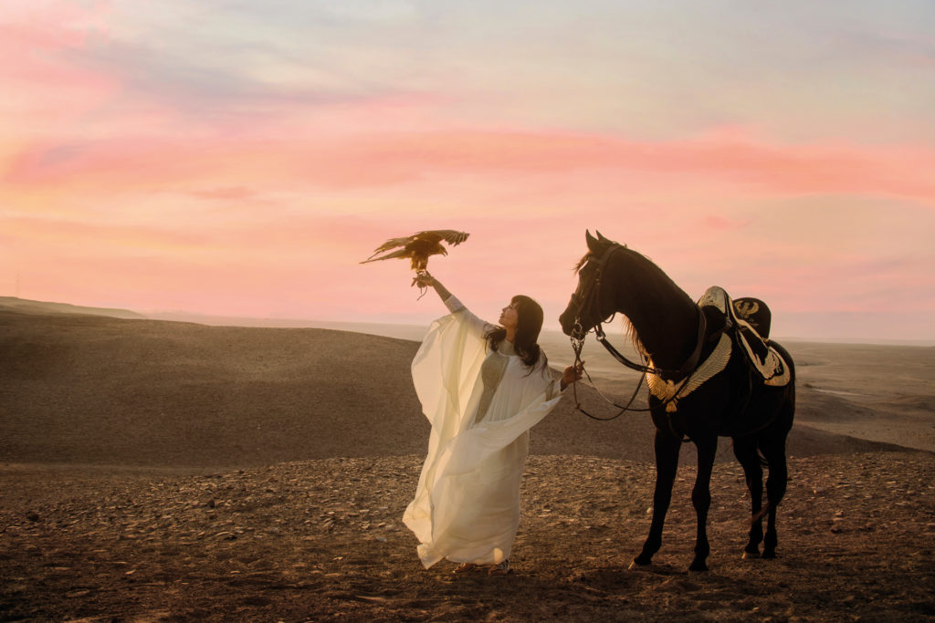 A woman stood with a horse at sunset