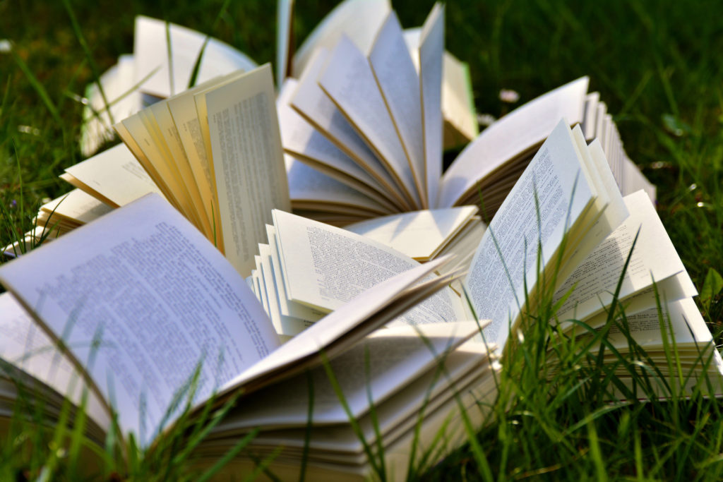 Open books on grass