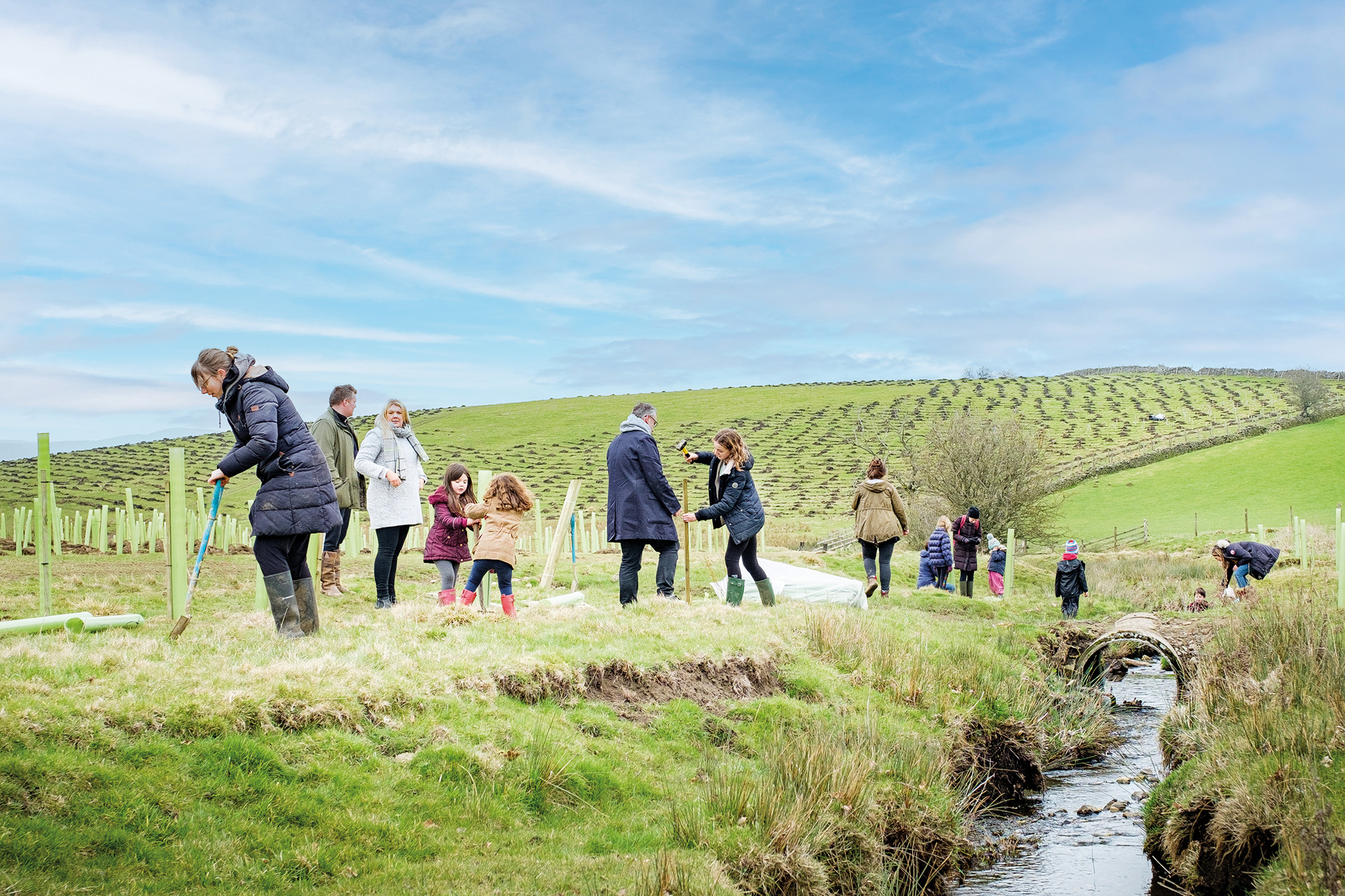 Tree planting