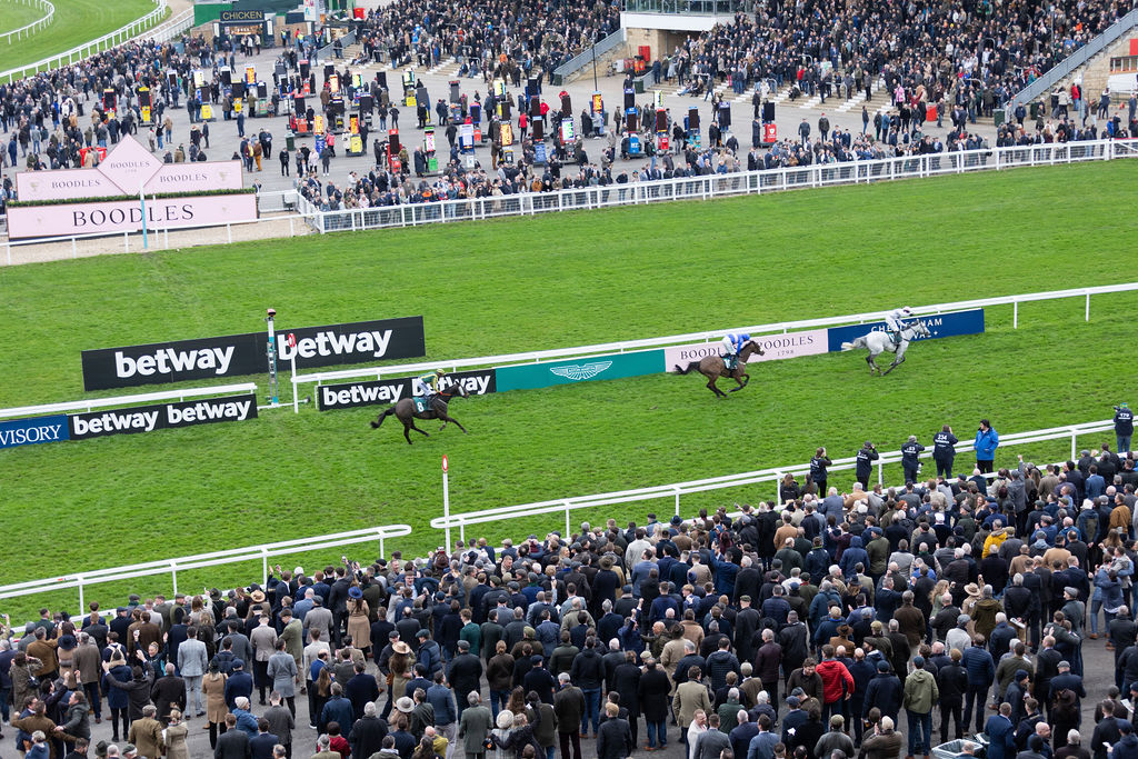 Cheltenham Races