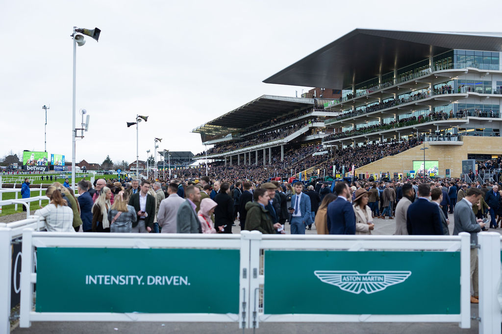 Aston Martin at the Cheltenham Races