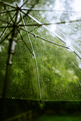 Umbrella
