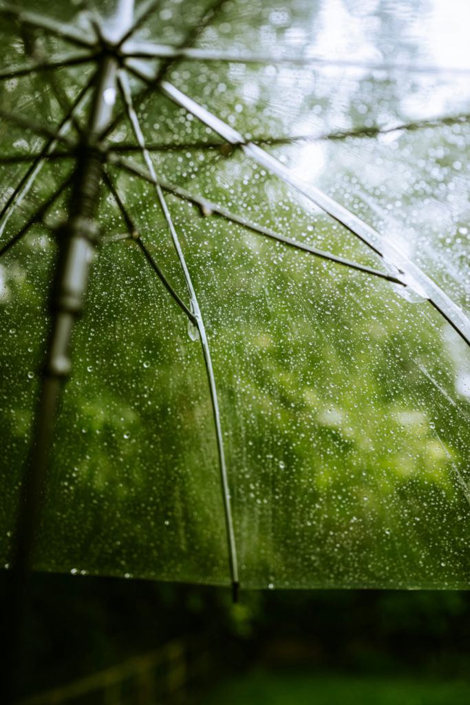 Umbrella