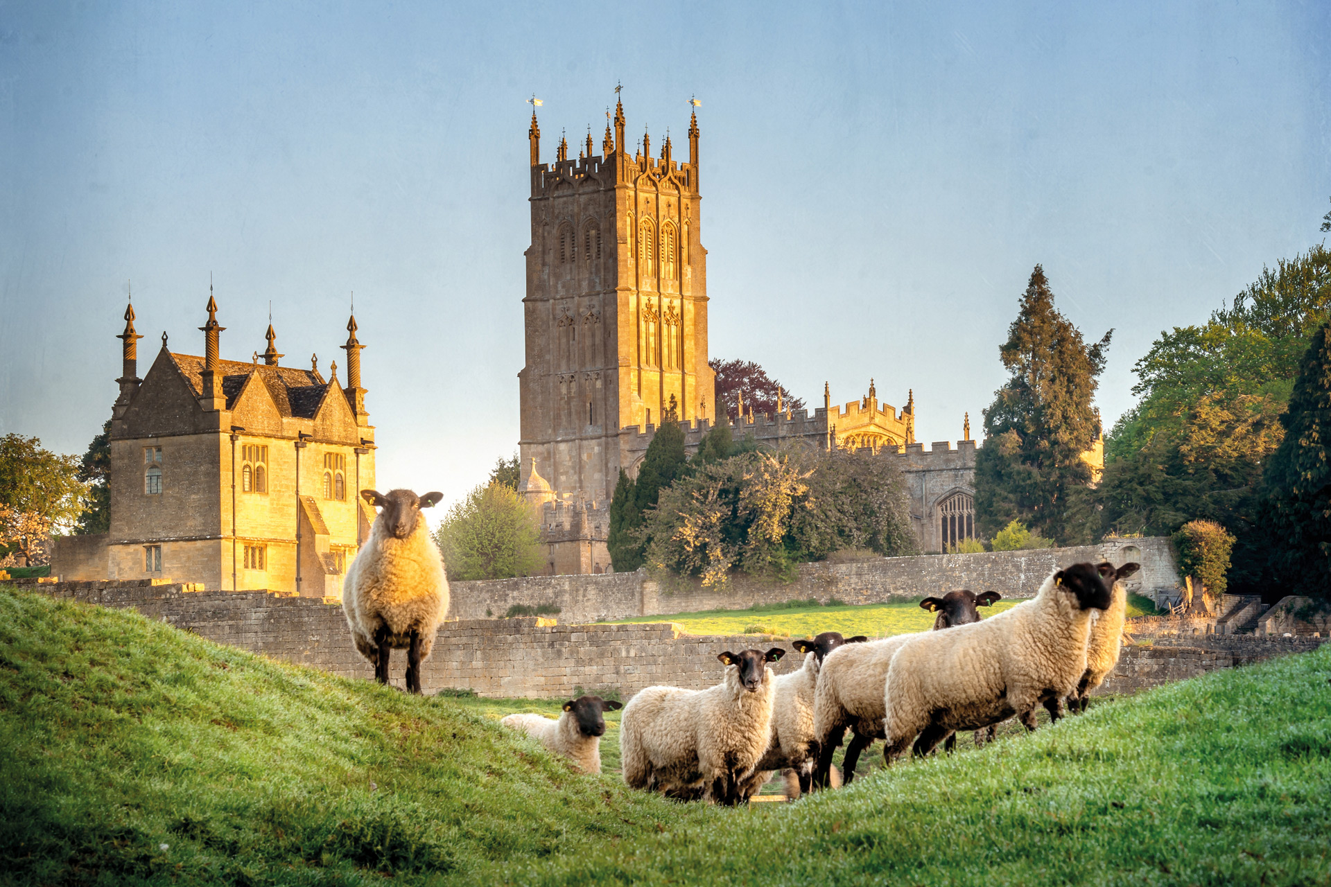 Cotswolds village with a field of sheep in the foreground.