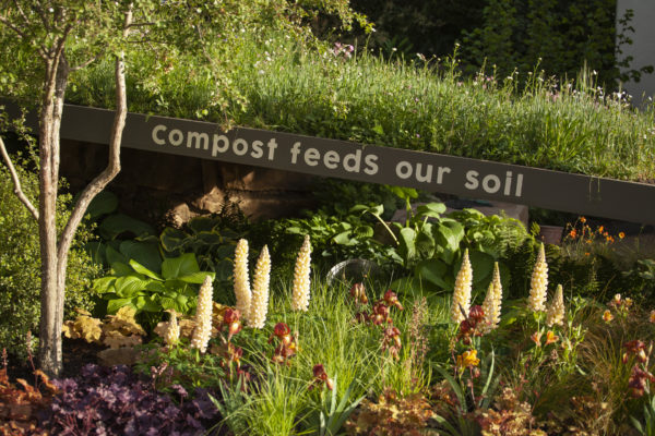 A garden designed by Chelsea Flower Show award winner Juliet Sargeant