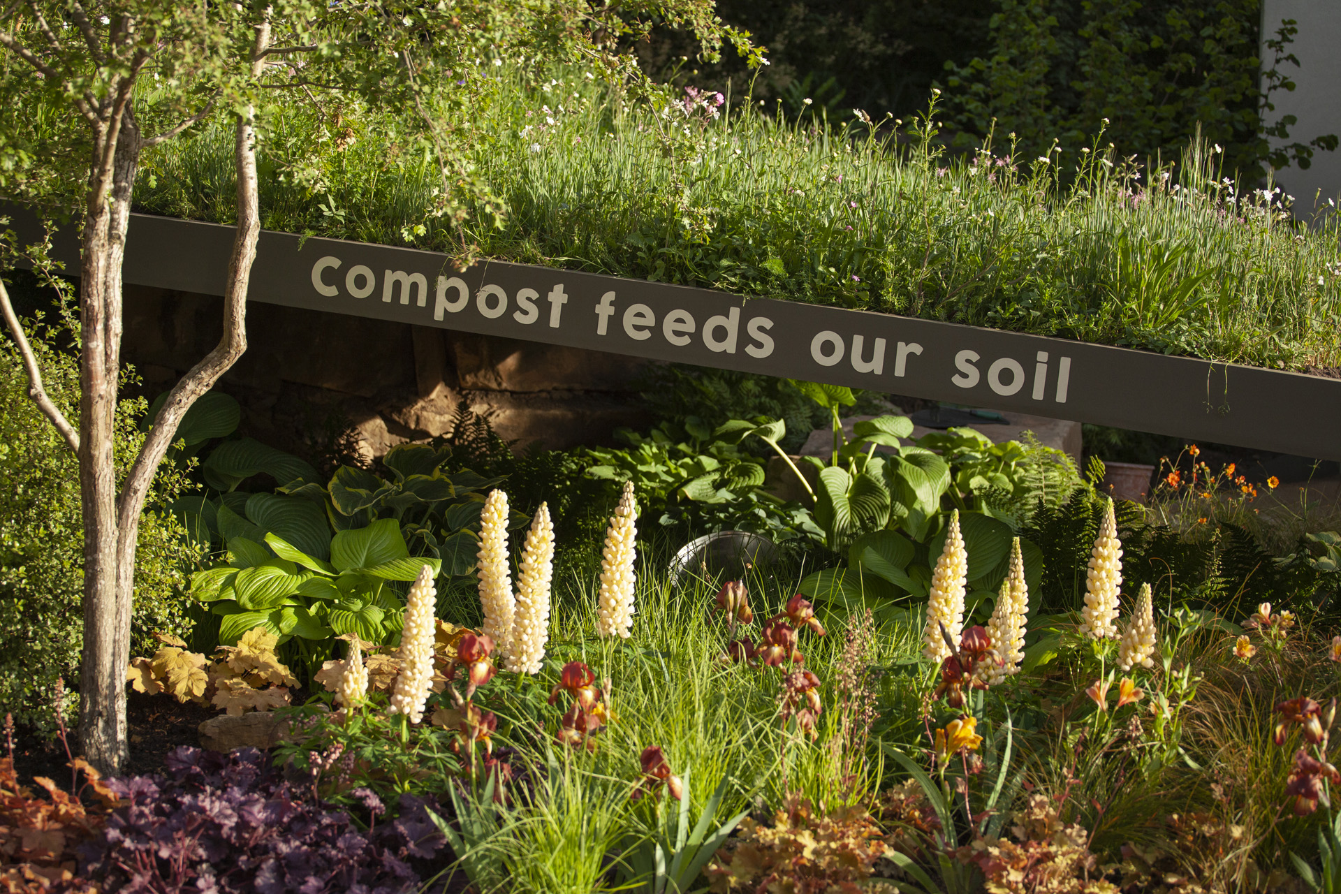 5 Ways To Make Your Garden Chelsea Flower Show Worthy Year Round
