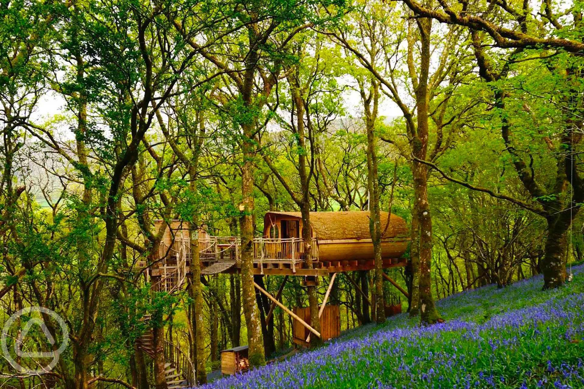 Living Room Treehouses