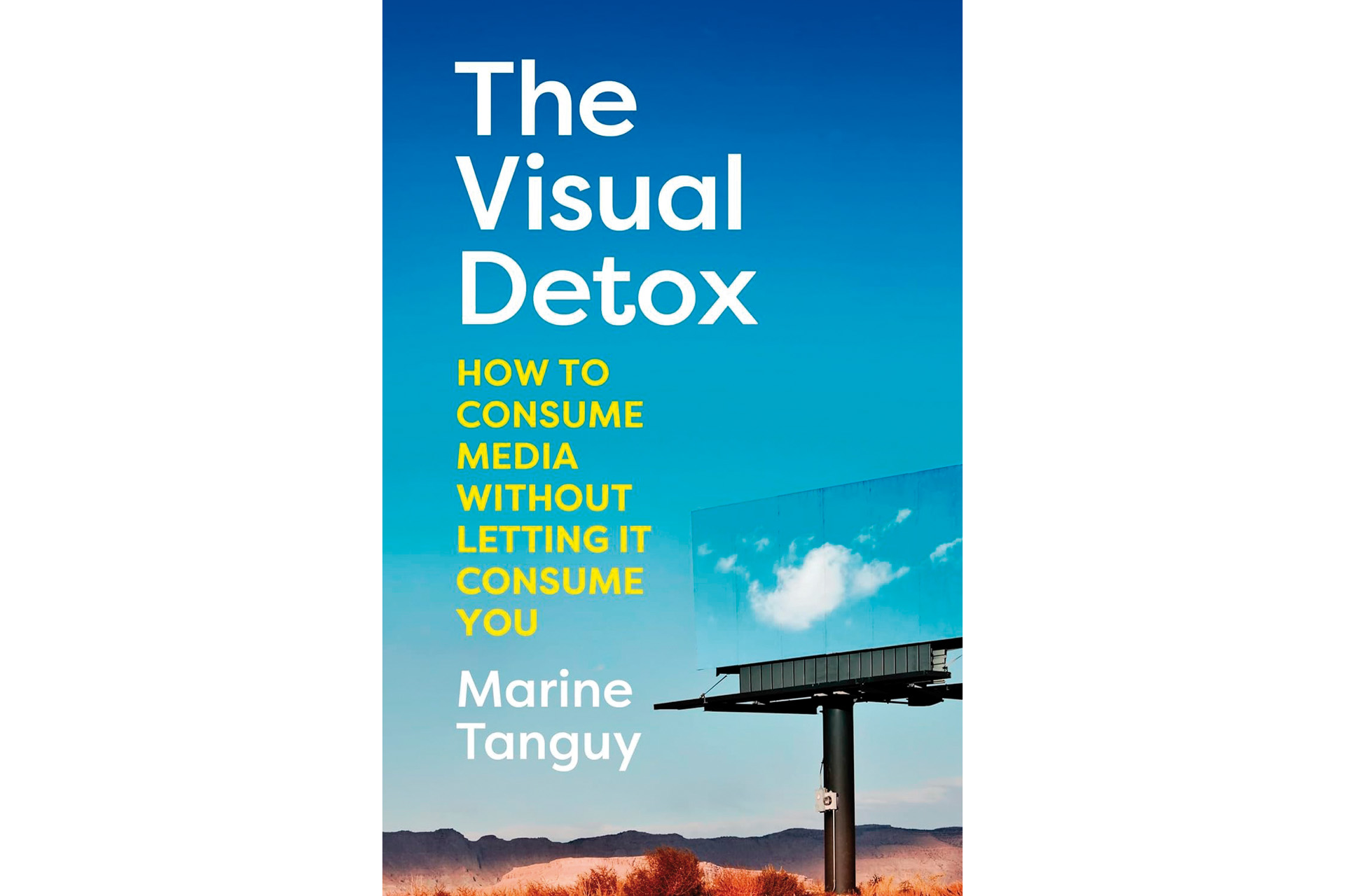 The Visual Detox book cover