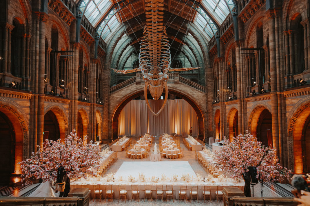 Wedding at the natural history museum