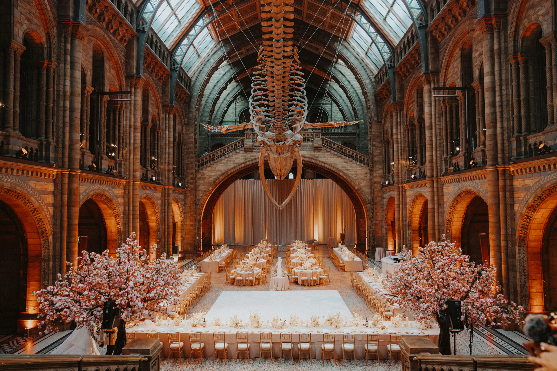Looking For A Wedding Venue? This Couple Got Hitched In The Natural History Museum