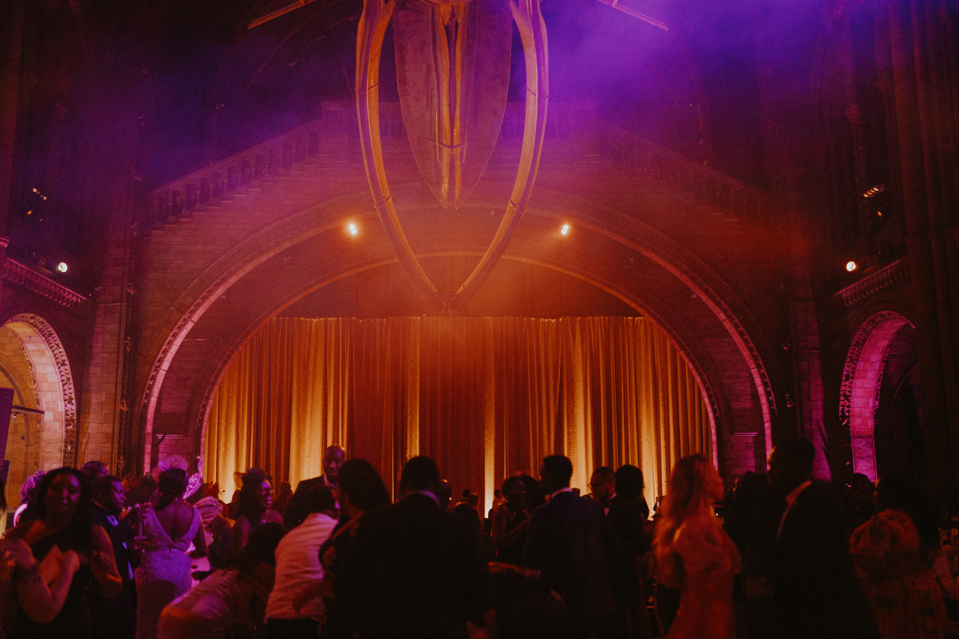 Party in the Natural History Museum