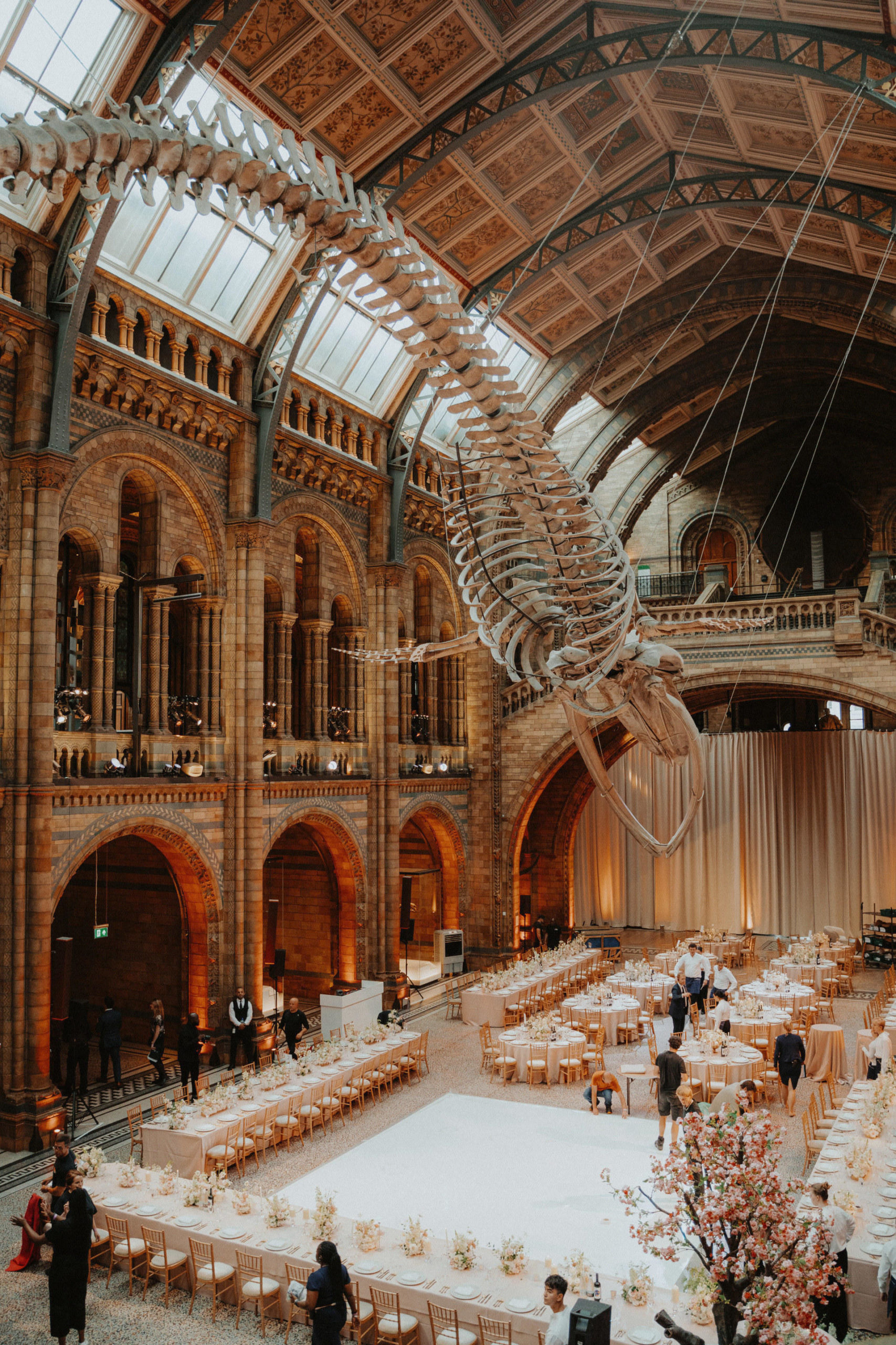 Wedding at the Natural History Museum