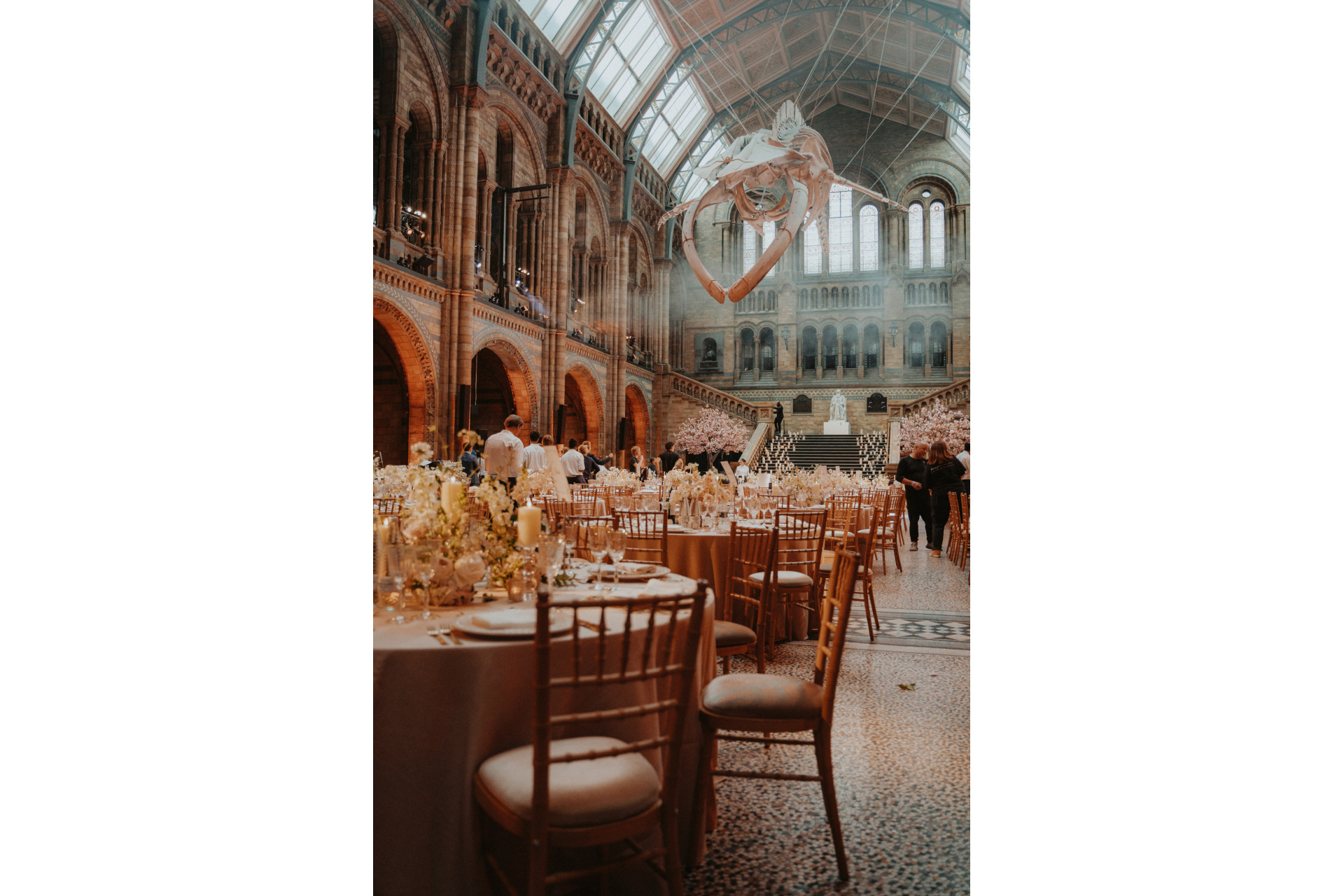 Tables set with flowers in the Natural History Museum