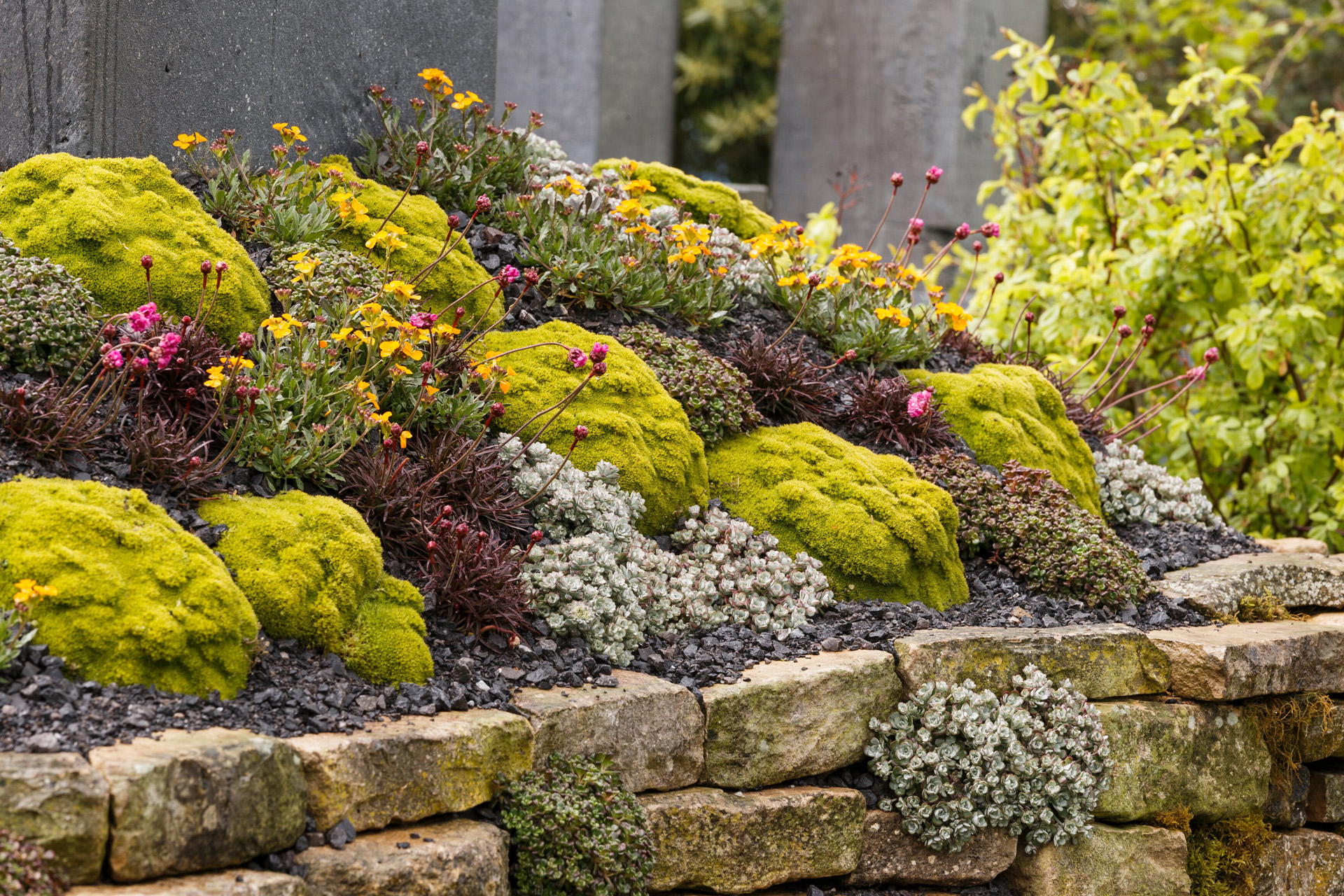 Moss and flowers