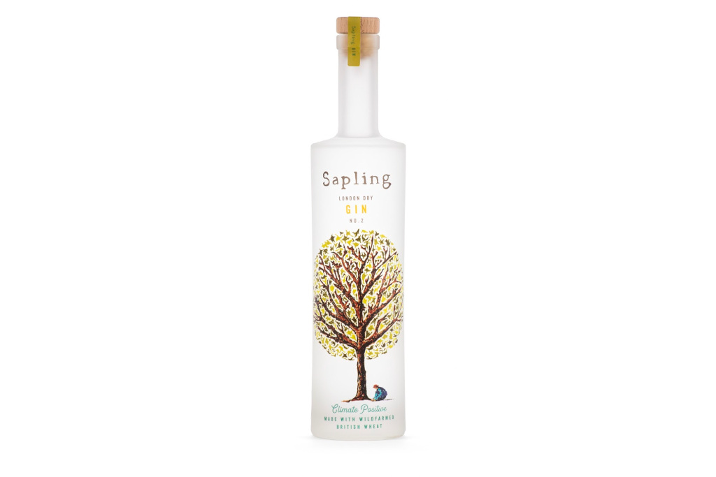 Bottle of gin