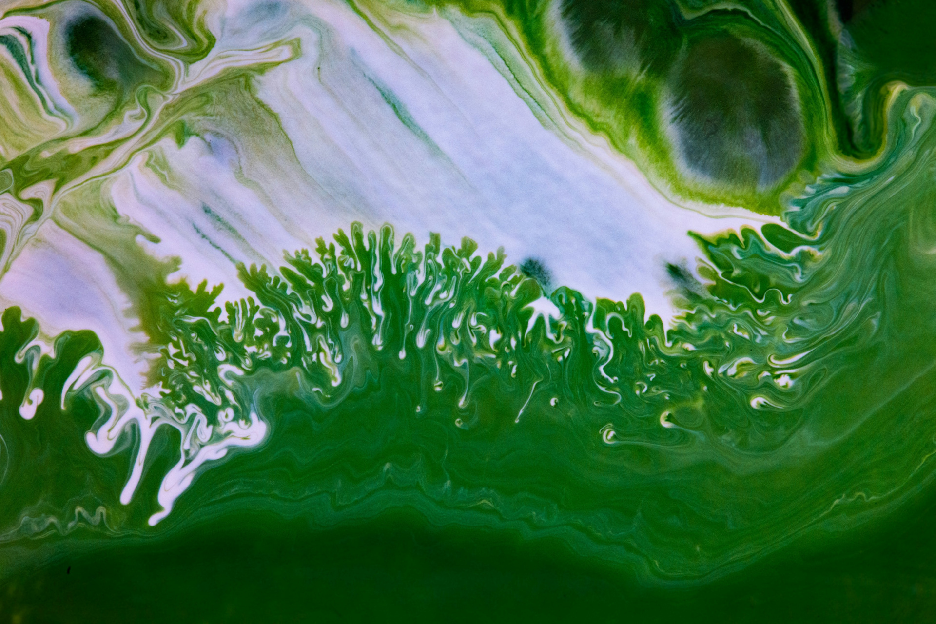 Green and white liquid | algae skincare