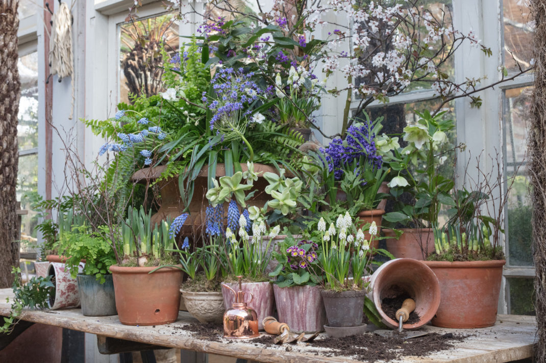 London's Loveliest Garden Centres