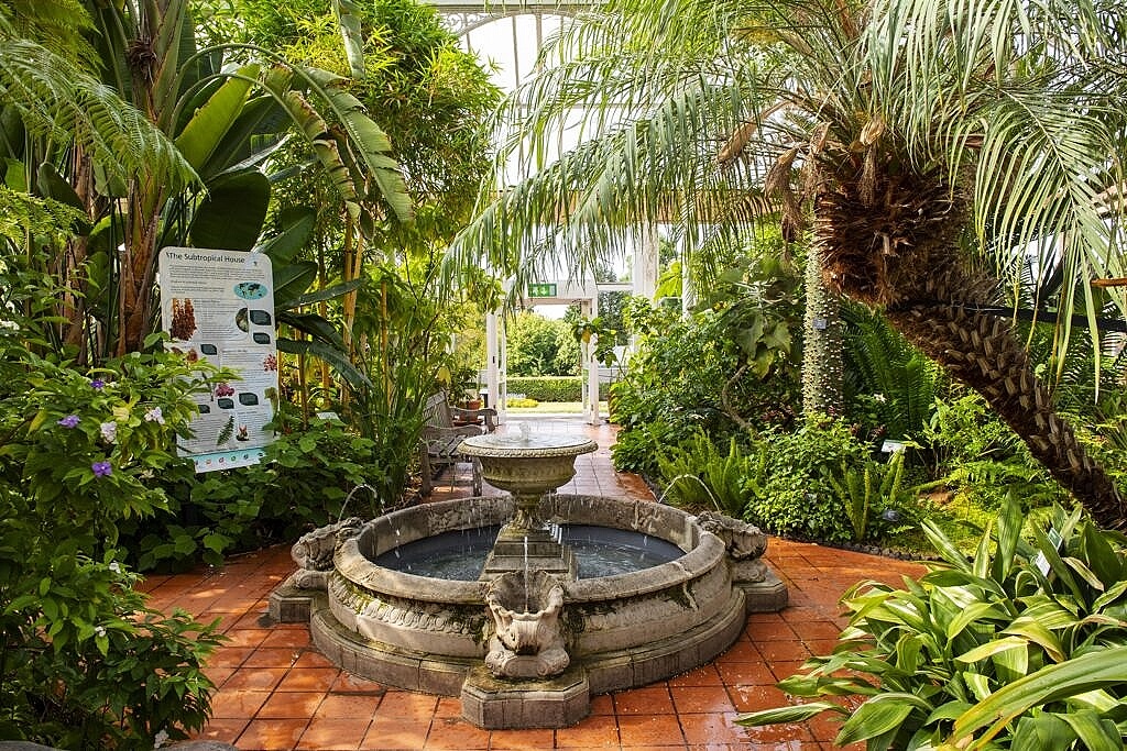 The Subtropical House at Birmingham Botanical Gardens