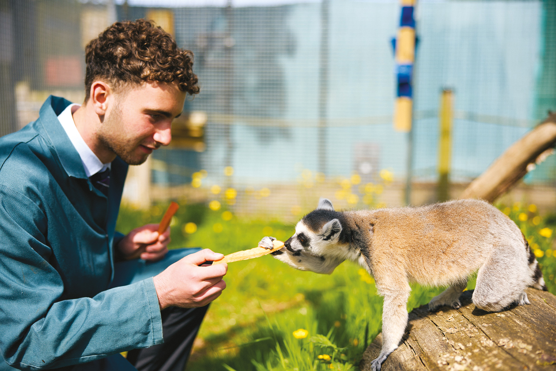 Furry Friends: The Schools Embracing Animals In Education