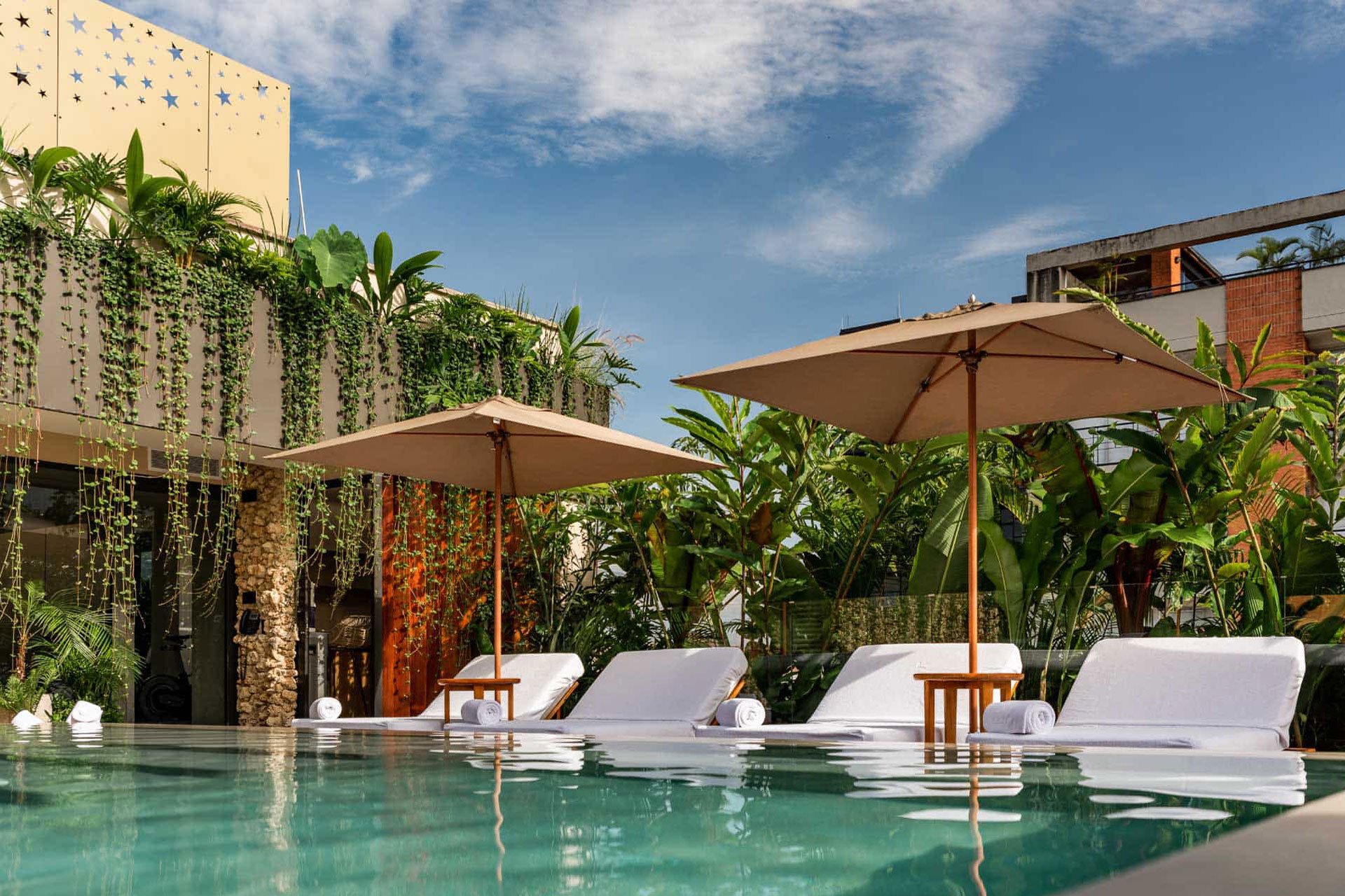 Rooftop pool with plants and white sun loungers