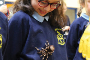 Holding spiders at Repton