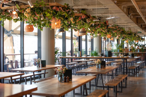 Pergola on the Roof