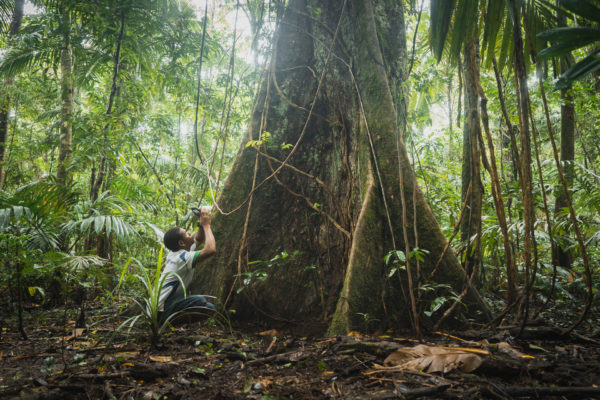 Person in the rainforest