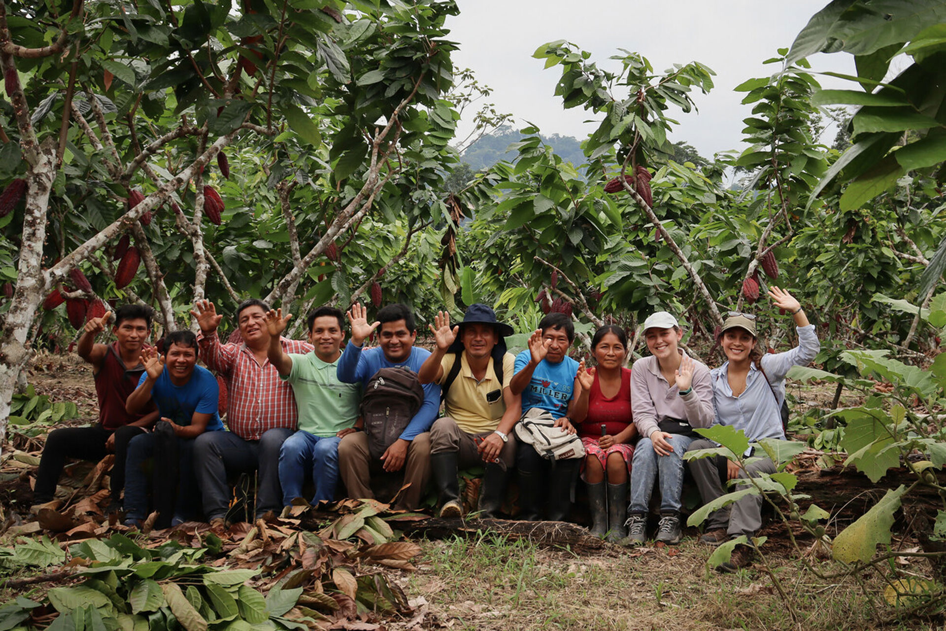 Indigenous community in the rainforest