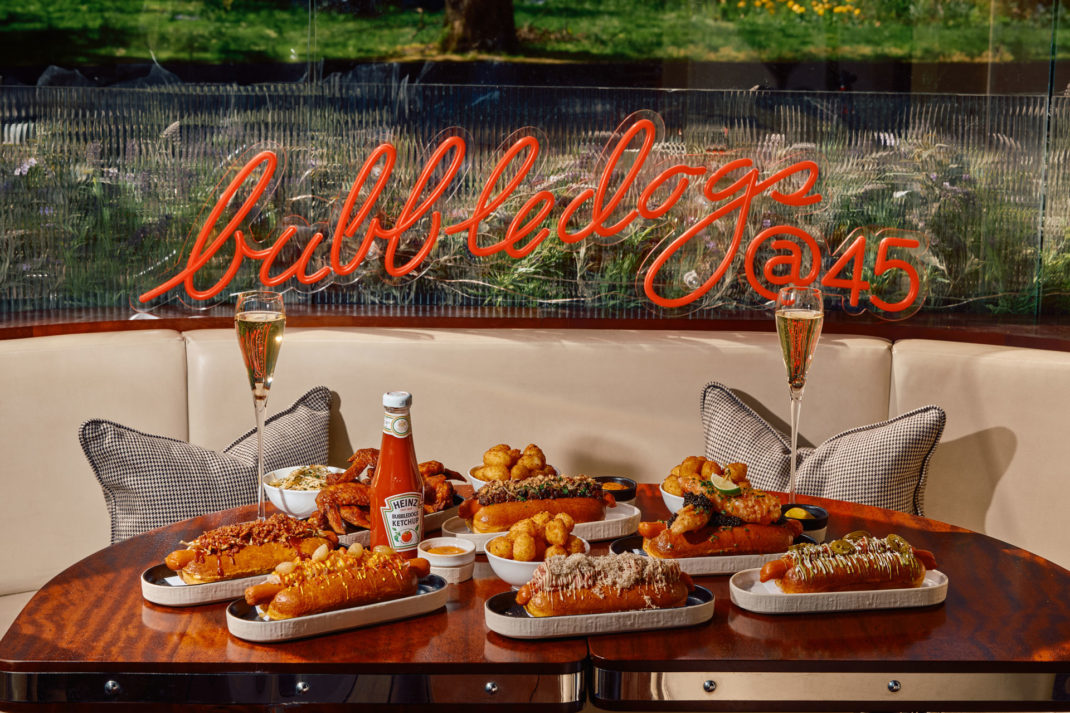 Bubbledogs at 45 Park Lane